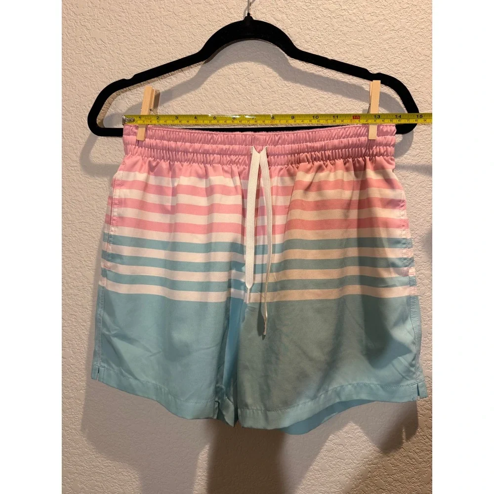 Chubbies Mens Swim Trunks‎ Pink Blue Striped Small